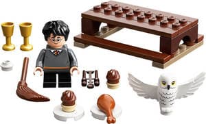 Harry Potter and Hedwig: Owl Delivery