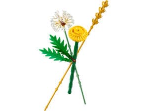 Field Flowers