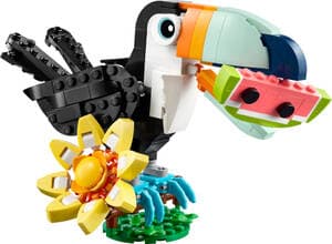 Wild Animals: Tropical Toucan