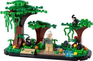 Jane Goodall Tribute